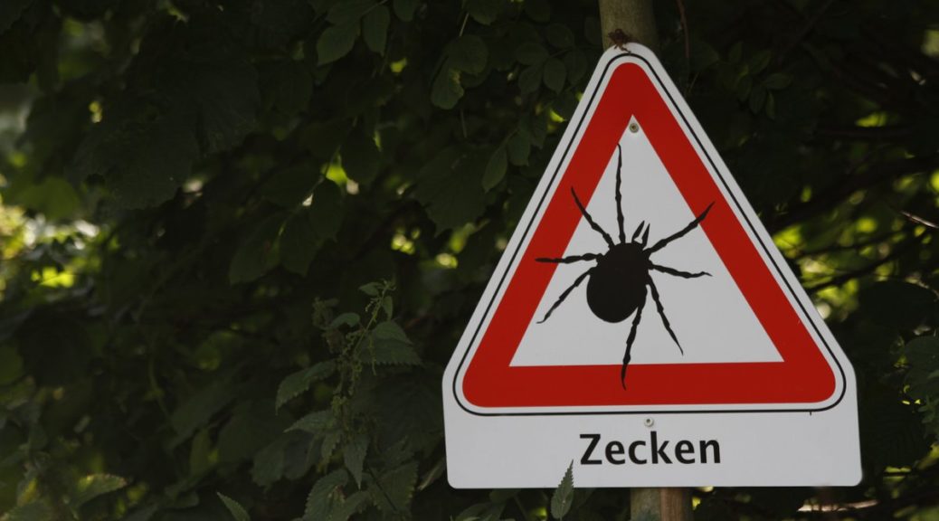 Akarophobie - Angst vor Insekten, Milben, Zecken und deren Stich oder Biss (© Antje Lindert-Rottke / Fotolia)