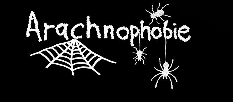 Arachnophobie / Angst vor Spinnen / Spinnenphobie (© blende11.photo / Fotolia)