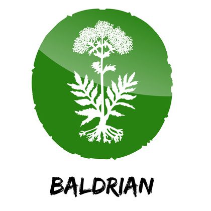 Baldrian (© sunnychicka - Fotolia)