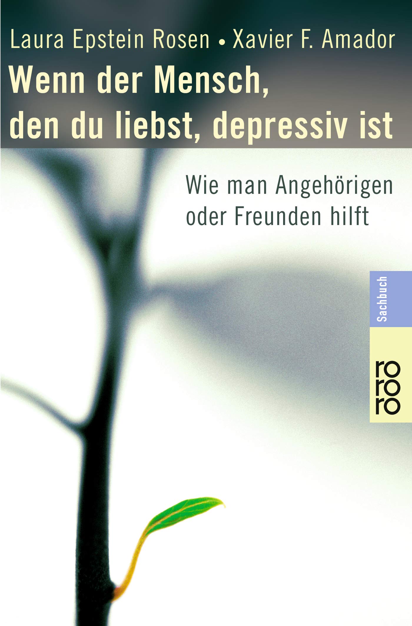 Buch: Wenn der Mensch, den du liebst, depressiv ist: Wie man Angehörigen oder Freunden hilft (Amazon)
