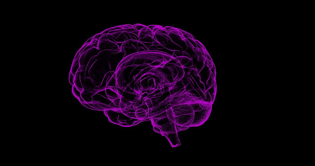 Gehirn (© sbtLneet / Pixaby)