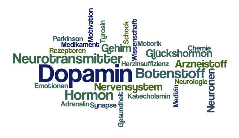 Rolle und Wirkung von Dopamin Dopaminmangel, Dopaminüberschuss
