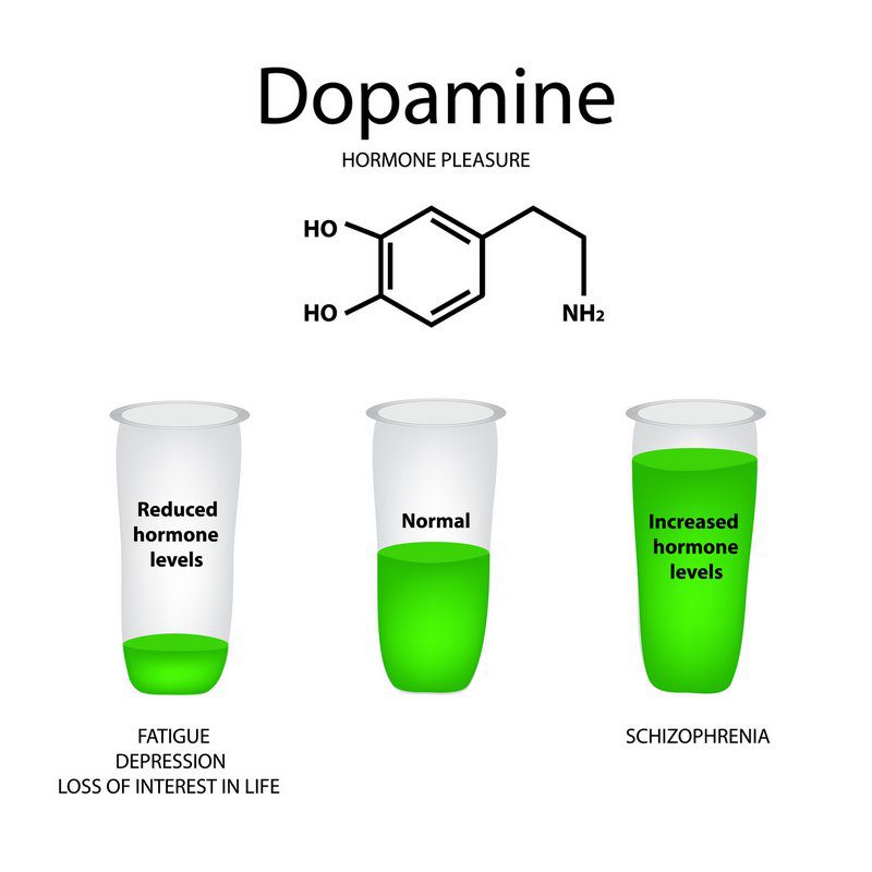 Dopaminmangel, Dopaminüberschuss und ein normaler Dopaminspiegel | Ist der Spiegel an Dopamin erhöht, können u.U. Formen von Schizophrenie gefördert werden (© timonina / Fotolia) Dopaminmangel, Dopaminüberschuss und ein normaler Dopaminspiegel | Ist der Spiegel an Dopamin erhöht, können u.U. Formen von Schizophrenie gefördert werden (© timonina / Fotolia)