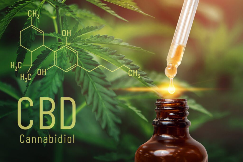 Cannabidiol und Cannabinoide sind wichtige Inhaltsstoffe bzw. Wirkstoffe der Hanfpflanze. Extrakte der Cannabispflanze werden mit einem Trägeröl kombiniert und als CBD-Tropfen vermarktet. (© Parilov / stock.adobe.com)