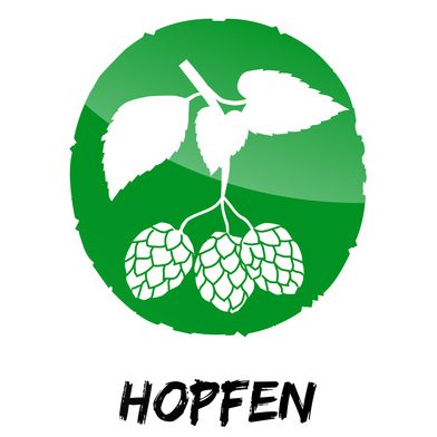 Hopfen (© sunnychicka - Fotolia)