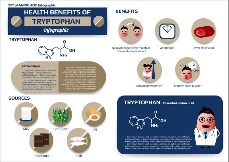 L-Tryptophan Infografik | Positive Tryptophan Wirkung bzw. vermutete Effekte; Vorkommen in Lebensmitteln (© nipadahong / Fotolia)