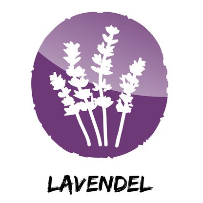 Lavendel (© sunnychicka - Fotolia)