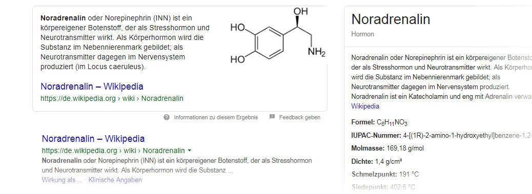Noradrenalin Wiki (Screenshot google.de am 26.08.2019)