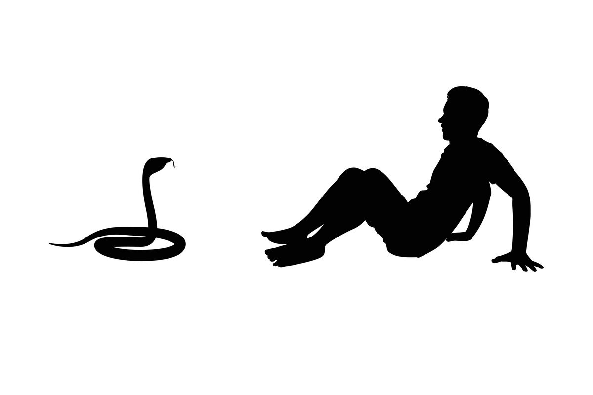 Ophidiophobie – die Angst vor Schlangen (© WC 24 / stock.adobe.com)