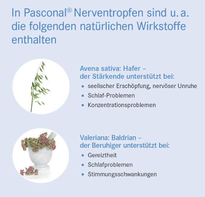 Pasconal Inhaltsstoffe (Produktbild der Pascoe Nerventropfen 50 ml bei Amazon