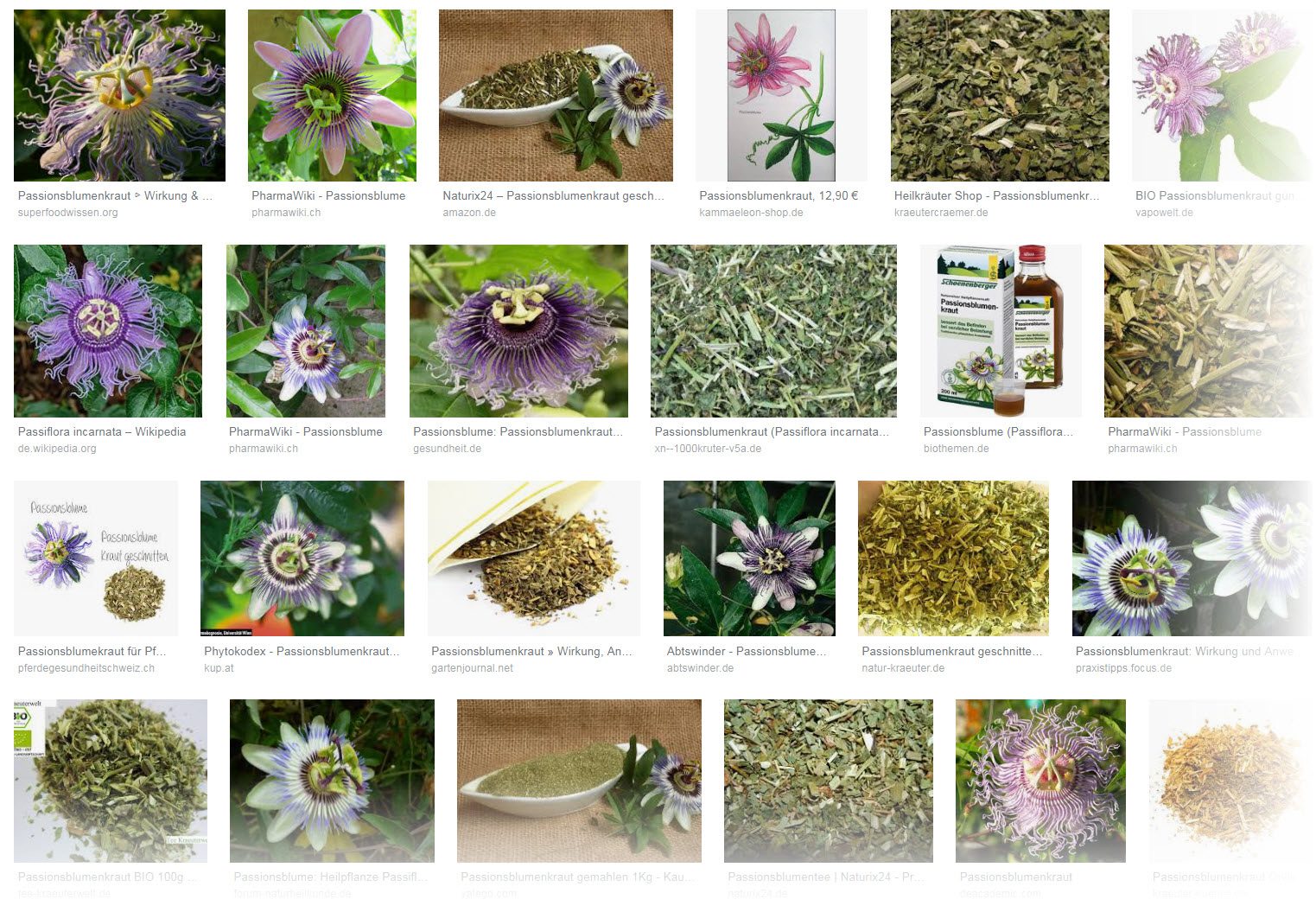 Passionsblume / Passionsblumenkraut - Screenshot Google Bildersuche