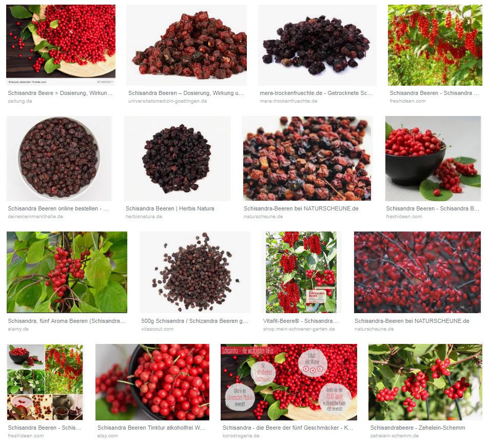 Schisandra Beeren frisch und getrocknet - Die Google-Bildersuche liefert anhand vieler Fotos einen guten Eindruck davon, wie die Fünf-Aroma-Beeren aussehen