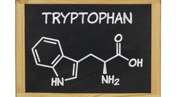 L-Tryptophan: Rolle und Wirkung im Kontext psychischer Erkrankungen (© Zerbor / Fotolia)