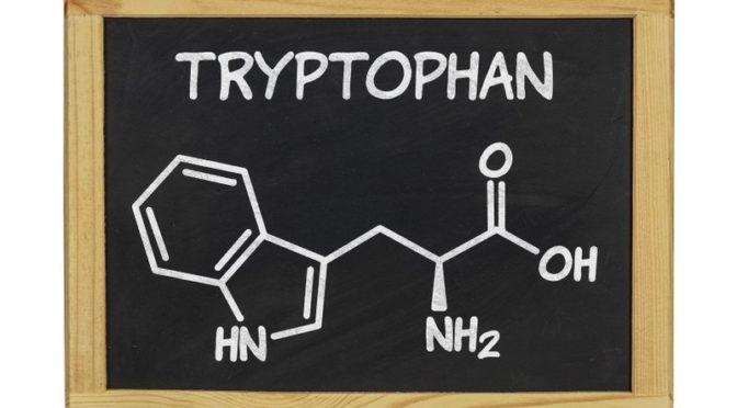L-Tryptophan: Rolle und Wirkung im Kontext psychischer Erkrankungen (© Zerbor / Fotolia)